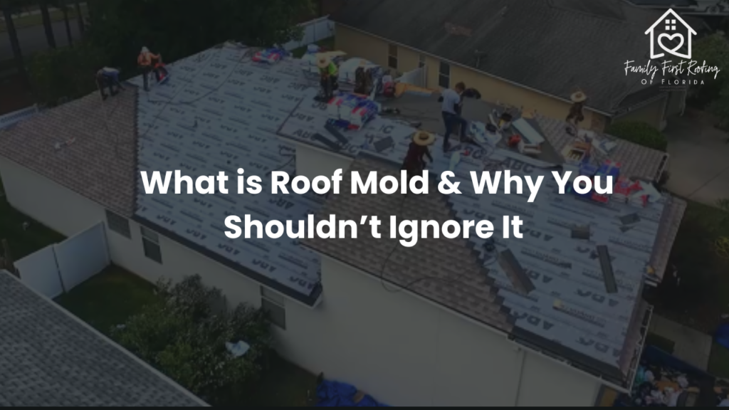 Close-up of roof mold growing on residential roofing shingles in a Florida home, showing dark stains, moisture buildup, and early signs of roof damage that require attention.