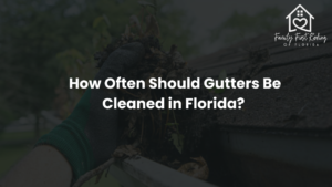 Clogged rain gutters on a Florida home filled with leaves and debris showing need for gutter cleaning service